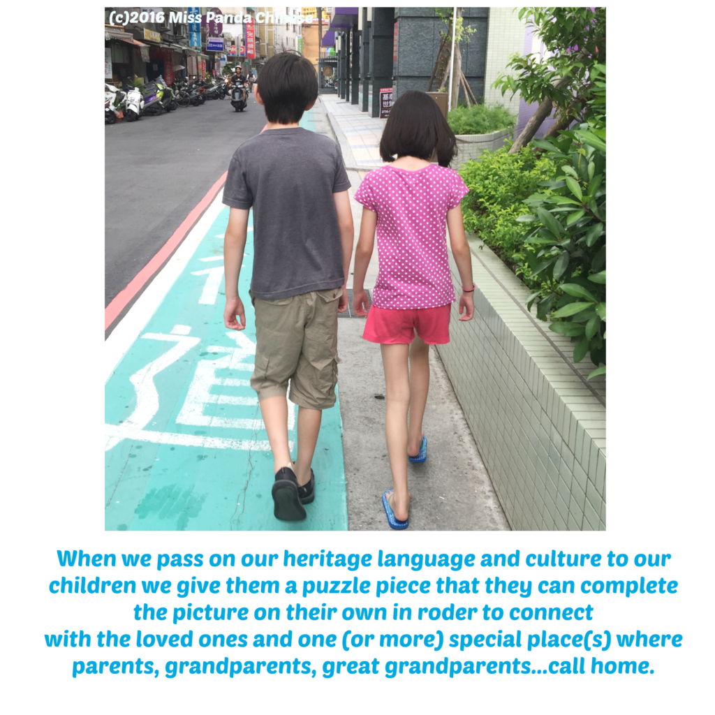 an interview with my son on learning his heritage language | Miss Panda Chinese