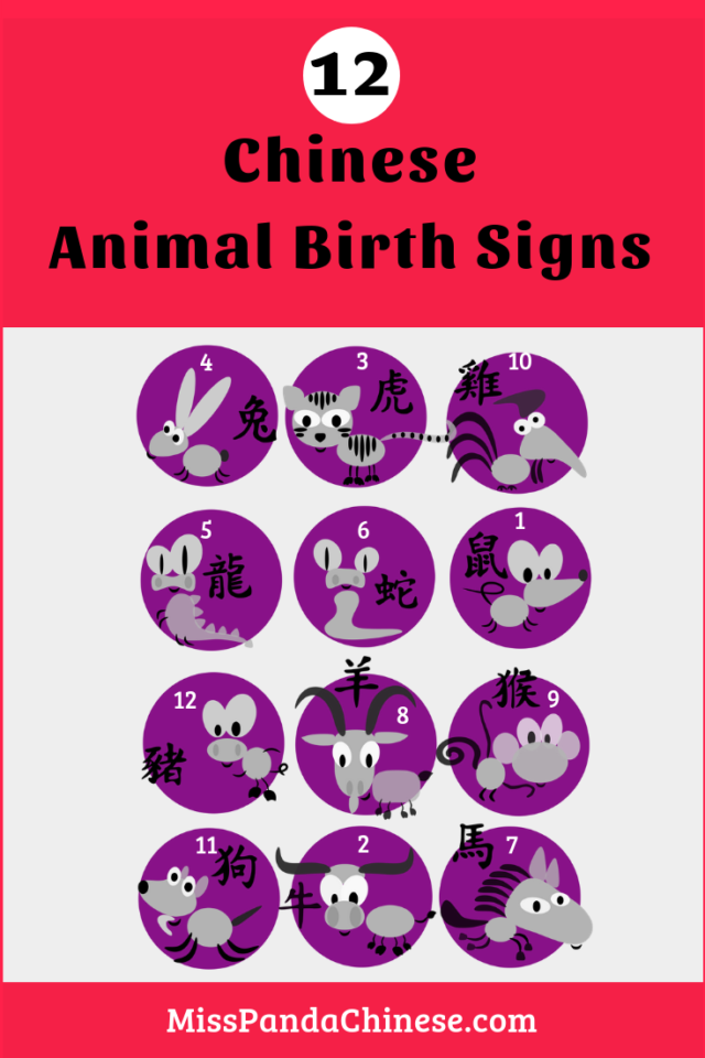Chinese Animal Birth Signs - Chinese New Year Spring Festival