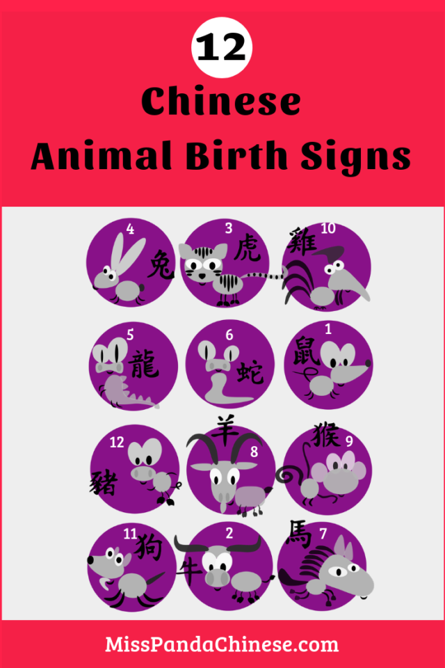 Chinese Animal Birth Signs | Miss Panda Chinese