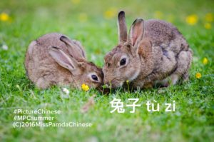 teach Chinese through images Picture Chinese | Miss Panda Chinese