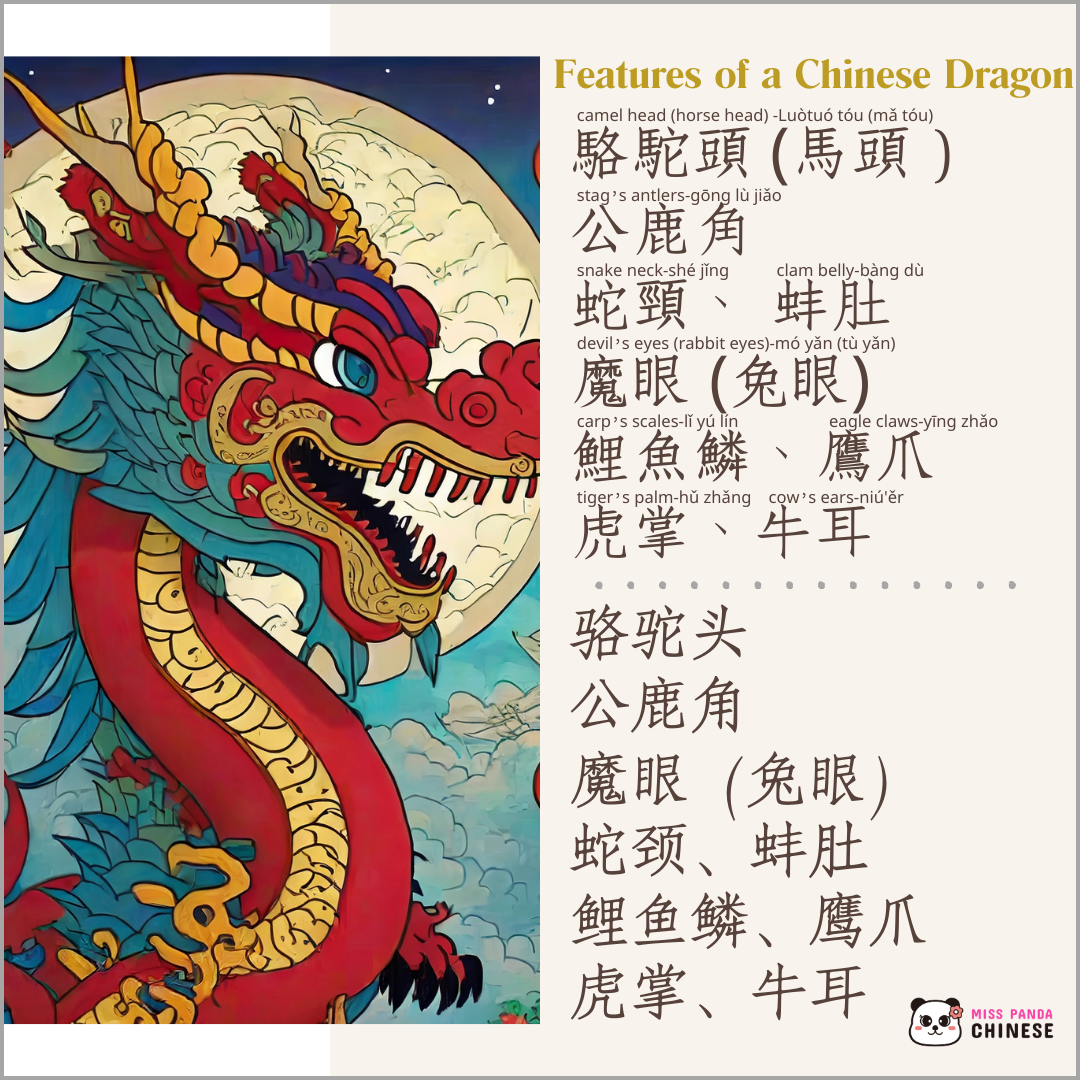 Features of a Chinese Dragon | Miss Panda Chinese | MissPandaChinese.com